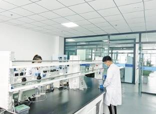 追“新”而行， 内蒙古高质量发展动能澎湃