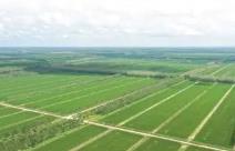 江苏扩大“小田变大田”改革试点