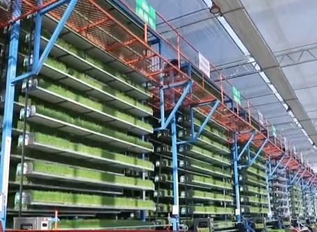 传统农业“牵手”新质生产力 数字化赋能新技术让种田更智能