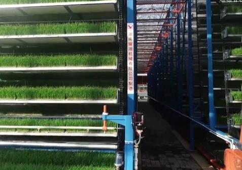 育秧工厂“育”新机