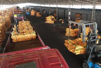 “晋肥”营养“黑土地” 山西首趟化肥专列开往东北