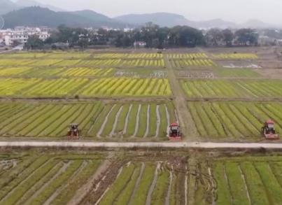 各地多举措护航春耕生产 科技助力春耕备耕实现“加速度”