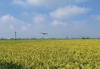 河北：智慧农业“显身手” 春耕跑出“加速度”