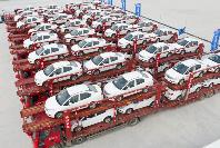 河南汽车出口实现开门红 前两个月出口货值增长超六成