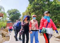 机票价格跌超40% 春暖花开正是错峰出游季