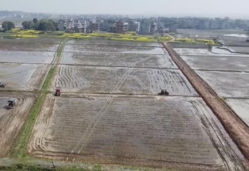 人勤春光好 春耕图景由南到北在祖国大地上有序铺展