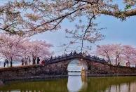 清明假期将至，“花”“茶”“食”唱响文旅消费前奏