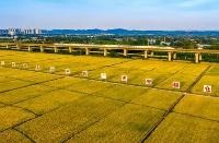 四川省将启动“天府粮仓·百县千片”建设行动