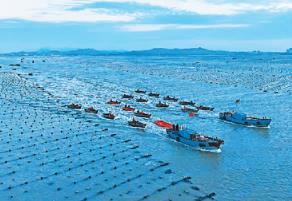 海洋经济复苏强劲 去年海洋生产总值较上年增6%