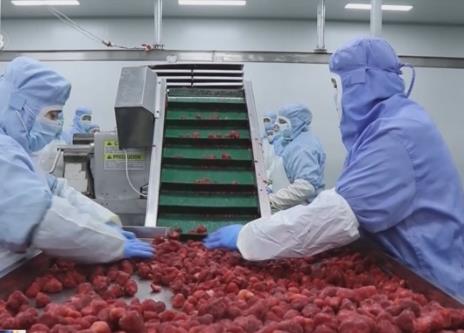 餐饮食材消费快速增长 特色食材精细加工促进食材附加值提升