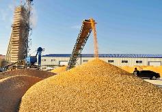 河南省加快提升应急救灾和粮食烘干能力  为农业强省建设提供支撑