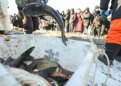 黑龙江：把冷水渔业打造成“水上粮仓”