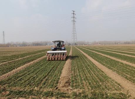 山东：“三春”用肥供需两旺