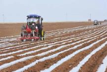 黑龙江：新农技大推广 稳产增产攒足劲