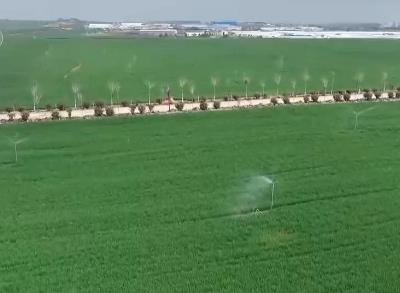 让农田“喝饱水”！各地全力保障春耕灌溉 夏粮丰收基础牢