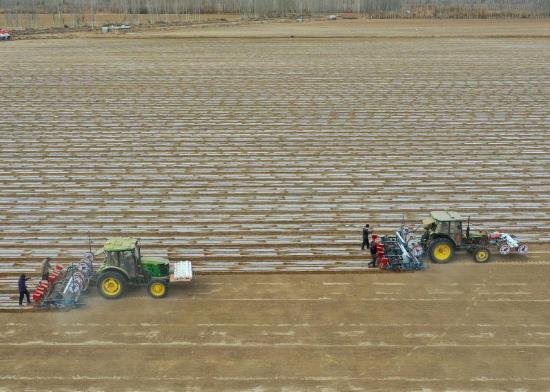 我国棉花主产区春播大幕开启