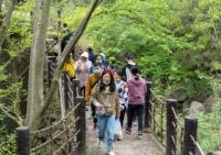 文化和旅游部发布清明假期出游提示：做好出行规划 文明绿色出行