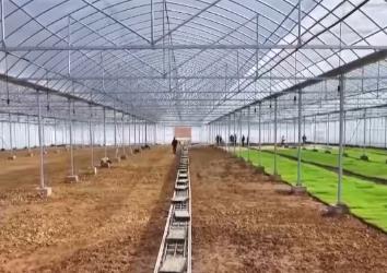 集中育秧助春耕 农技人员深入育秧大棚现场指导服务春耕