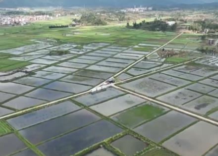 全国春灌大面积展开