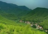 广东省连续17年提高公益林补偿标准