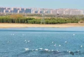 景区免门票、研学游火爆、旅游列开通……内蒙古文旅再加猛料催热“春日经济”