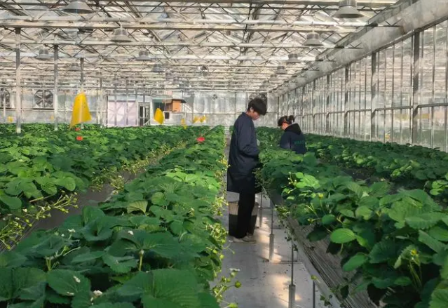 北京市启动第一批“数字京村”建设工作