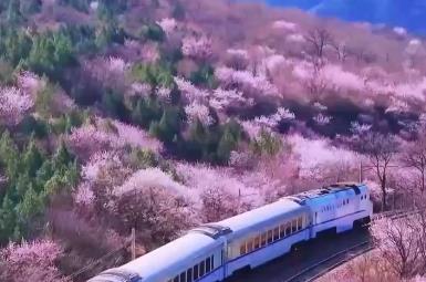 交通文旅融合打造现代服务新业态 激发内需繁荣消费