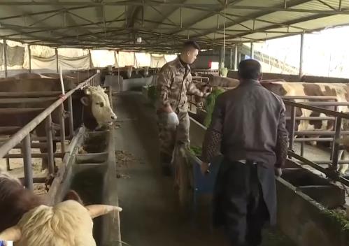 多地探索特色养殖新模式 助力养殖户增收致富