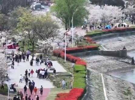 文化+赋能 激发旅游消费新活力