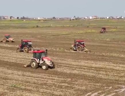 冬小麦进入田管关键期 早稻育秧过八成