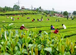 2023年休闲农业营业收入达8400亿元