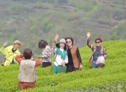 文旅融合打造消费新趋势 乡村旅游拓展体验新空间