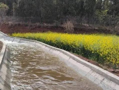 四川进入春灌集中供水期
