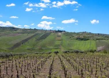 今年旅游行业标准第一批立项名单公布