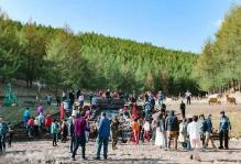 内蒙古千万元支持旅行社招徕游客