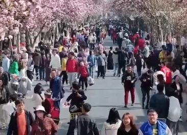 “吃喝玩乐”等生活服务业消费“火热” 中国经济内需潜力“热力”释放