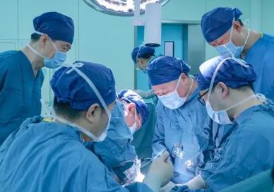 国内首例多基因编辑猪肾成功移植人体