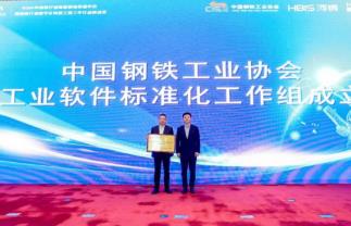 钢协工业软件标准化工作组正式成立