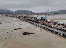 最高补助100万元！福建加大奖补力度支持提升渔港建设水平