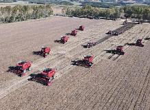 黑龙江：垦地牵手种好地多打粮