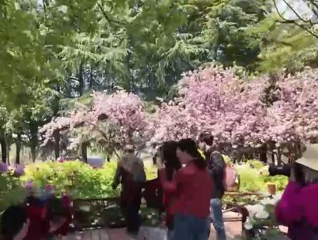 跟着“繁花”去旅行！“春日经济”激活大众消费热情
