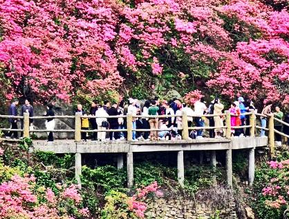 春季文旅全面开“花”！消费市场释放蓬勃活力