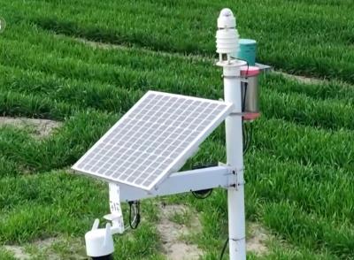 “种地种出成就感”！卫星巡田、远程田管，农业生产焕发新活力