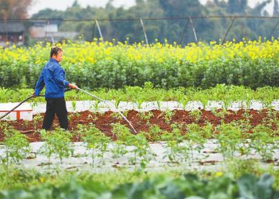 今年春灌 四川的水够用吗