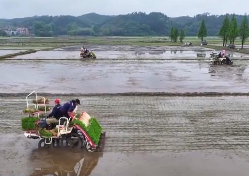 聚焦产能提升 主产区有力推进春耕生产