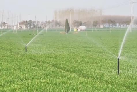 多地春耕春管春灌新品种新技术新模式涌现 全力以赴夺取夏粮丰产丰收