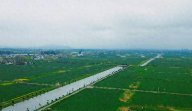 四川将建1000个粮油千亩高产片