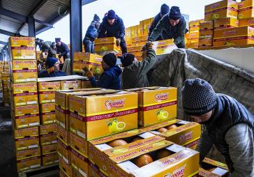 新疆出口水果注册果园达205家