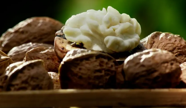 我国森林食物年产量超过2亿吨