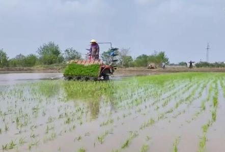 各地春种春管忙 勤劳、智慧、农技、机械化为丰收“保驾护航”